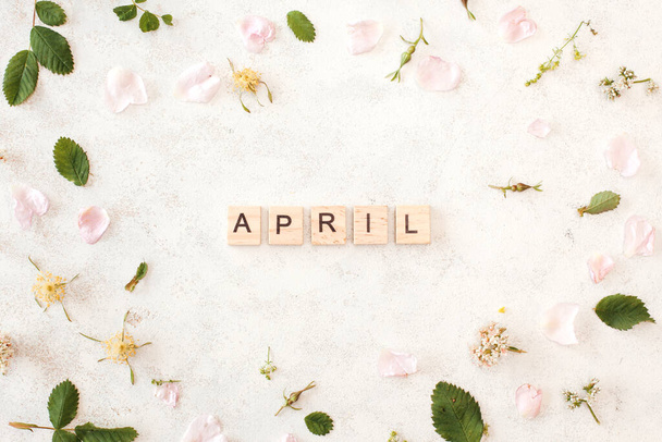 Month of april - white background with rose petals and leaves. Spring floral background. - Фото, изображение