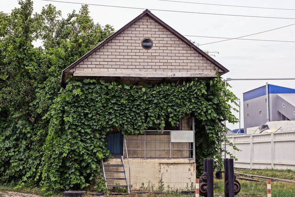 通りに緑の植生が生い茂る古い灰色のレンガ造りの家 - 写真・画像