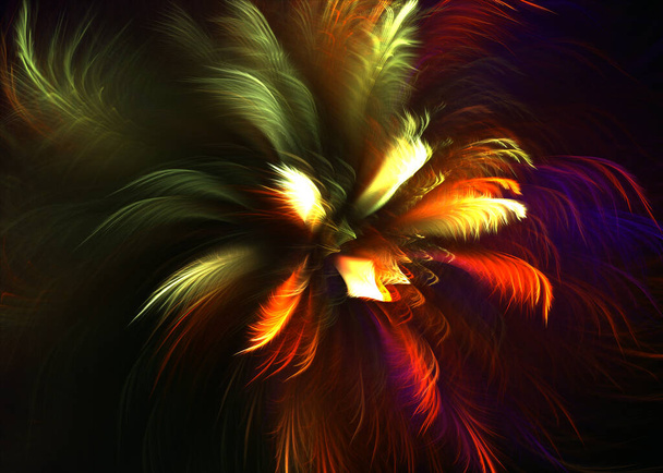 Fondo de Topknot alado pinnado fractal - Arte fractal
 - Foto, Imagen