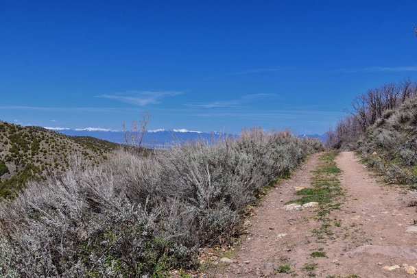 Näkymät Wasatch Front Rocky Mountains Oquirrh Mountains alkukeväästä, Patikointi keltaisella haarukalla polku ja Rose Canyon Great Salt Lake Valley. Utah, Yhdysvallat. Yhdysvallat
. - Valokuva, kuva