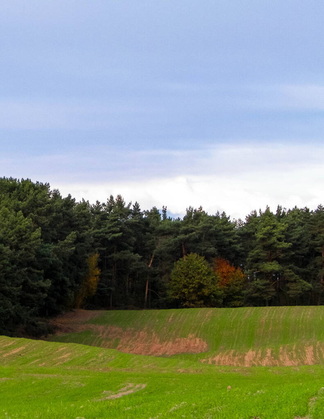 Campo verde y colinas. Naturaleza del norte de Polonia. Concepto de viaje y naturaleza
. - Foto, imagen