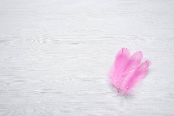 Ροζ φτερό πουλιού σε λευκό ξύλινο φόντο με χώρο αντιγραφής. - Φωτογραφία, εικόνα