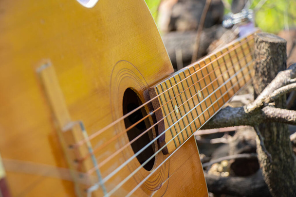 chitarra marrone legno si trova su una strada di pietra in strada nell'erba primaverile
 - Foto, immagini