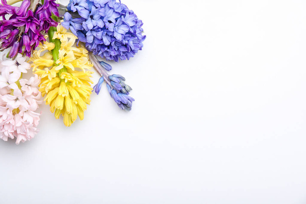 Όμορφα λουλούδια υάκινθος σε λευκό φόντο - Φωτογραφία, εικόνα