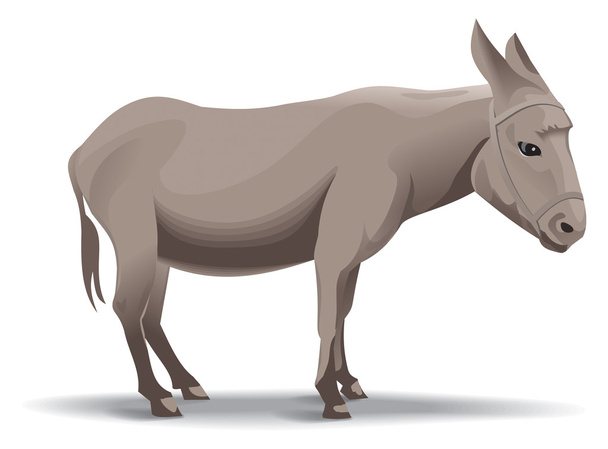 Ilustração burro
 - Foto, Imagem