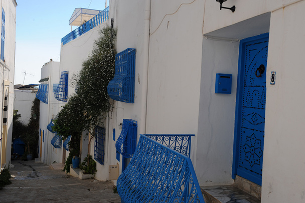 Tunezja - Zdjęcie, obraz
