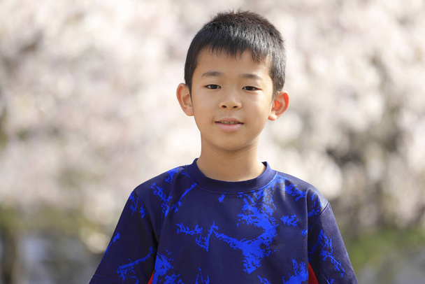 Japonais garçon et cerisier fleurs (CM2 à l'école primaire
) - Photo, image