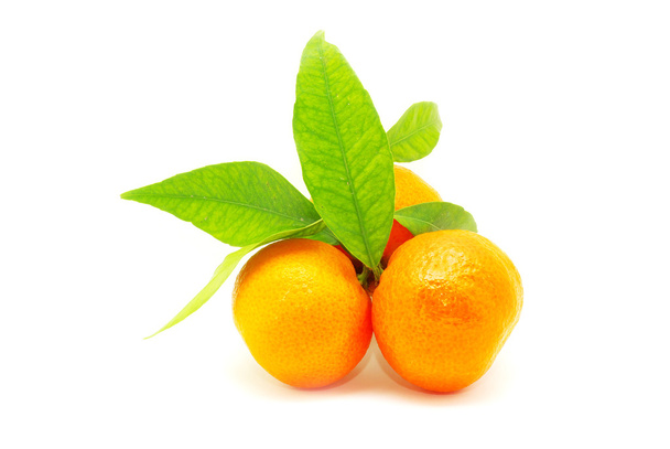 Mandarin - Фото, изображение