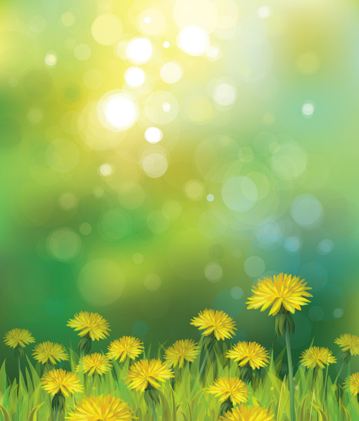 Spring background with yellow dandelions. - Vector, Image