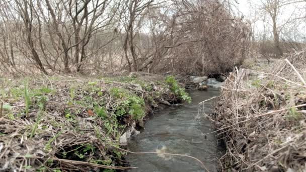 Ekolojik felaket. Bahar temizliği deresi plastik çöp şişeleriyle kirlenmiş. 4k - Video, Çekim