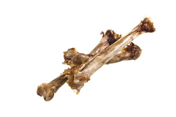 οστών που απομονώνονται σε λευκό φόντο - Φωτογραφία, εικόνα