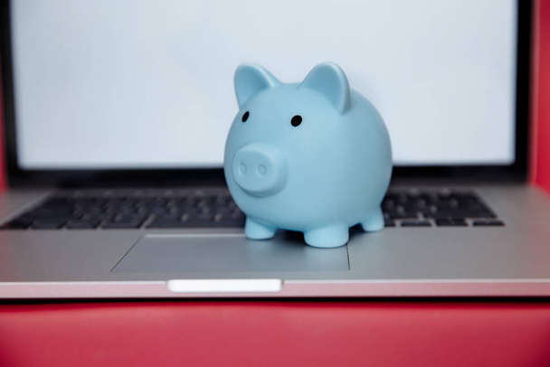 Laptop device and money box piggy in the pink room. - 写真・画像