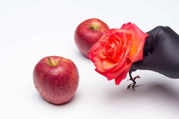 Symboli omena tieteen ja fantasia kirjallisuutta. Makea hedelmä täynnä vitamiineja, terveellisiä ja vähäkalorisia. Punainen omena, ihanteellinen jälkiruokien valmistukseen ja syömiseen ennen ateriaa ja sen jälkeen
. - Valokuva, kuva