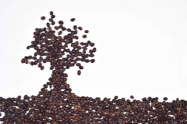 Vorm van de boom gemaakt van koffiebonen geïsoleerd op witte achtergrond - Foto, afbeelding