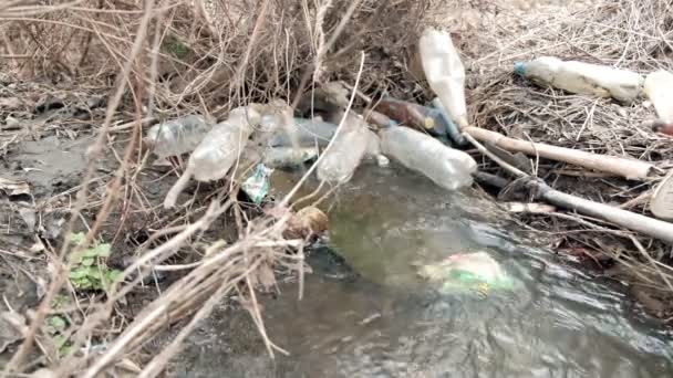 Ekolojik felaket. Bahar temizliği deresi plastik çöp şişeleriyle kirlenmiş. 4k - Video, Çekim