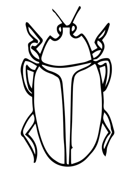 Käfer, Insektenumrissvektor, Symbol. Malseite für Kinder. Exotische Bug Collection. Handgezeichneter Doodle-Stil, isoliert auf weißem Hintergrund. - Vektor, Bild