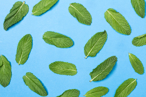 Green mint leaves on a blue background - Photo, Image