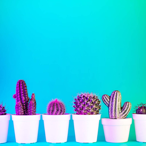 Fondo de neón creativo con cactus. Fondo abstracto multicolor con gradientes vibrantes. Plantas exóticas con colores vivos verdes, rosados y azules. Espinas con hermosa iluminación
. - Foto, imagen