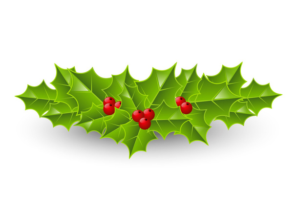 Holly berry icon on white - Vector, Image