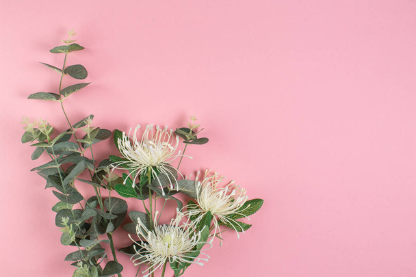  Valkoiset kukat ja eukalyptus lehdet vaaleanpunainen tausta
. - Valokuva, kuva