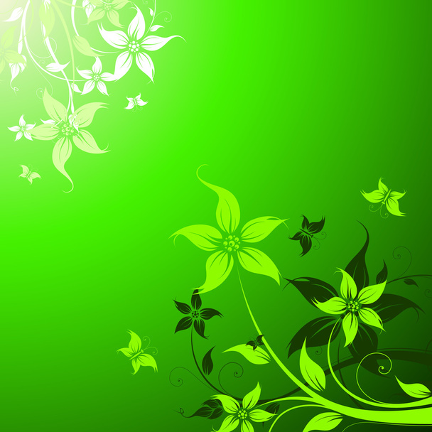 Vector floral background - Vector, imagen