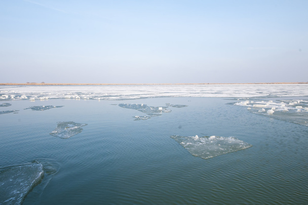 Delta del Danubio
 - Foto, imagen