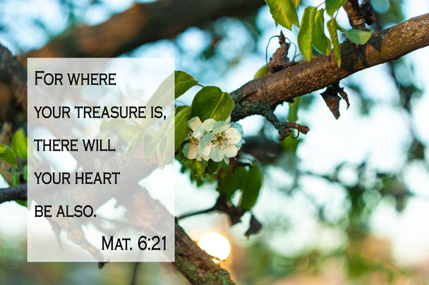 Bible quotes on blurred nature background. Card with text sign for believers. Inspirational thoughts for praying. Christian faith wallpaper. For where your treasure is, there will your heart be also. - Photo, Image