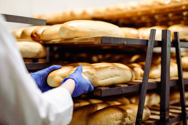Young female worker working in bakery. She puts bread on shelf. - Foto, Bild
