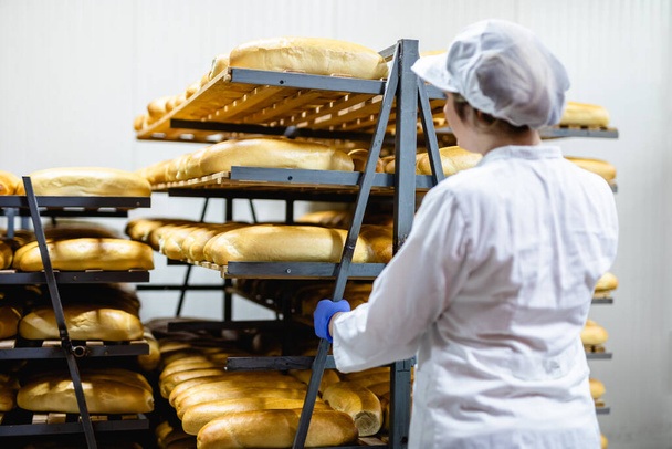 Junge Arbeiterinnen, die in der Bäckerei arbeiten. Sie stellt Brot ins Regal. - Foto, Bild