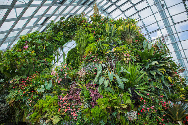 The cloud forest is one of two gardens housed in the dome at Garden by the bay and is the world's largest column-less greenhouse in Singapore - Fotoğraf, Görsel