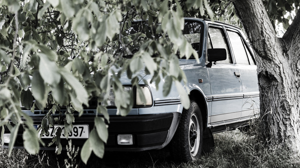 old car under a green tree in the Czech Republic - Foto, afbeelding