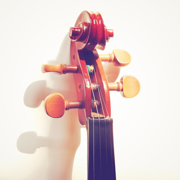 Голова скрипка
 - Фото, зображення