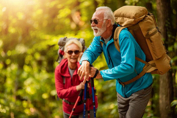 Seniorenpaar genießt Natur und spaziert durch Wald. - Foto, Bild
