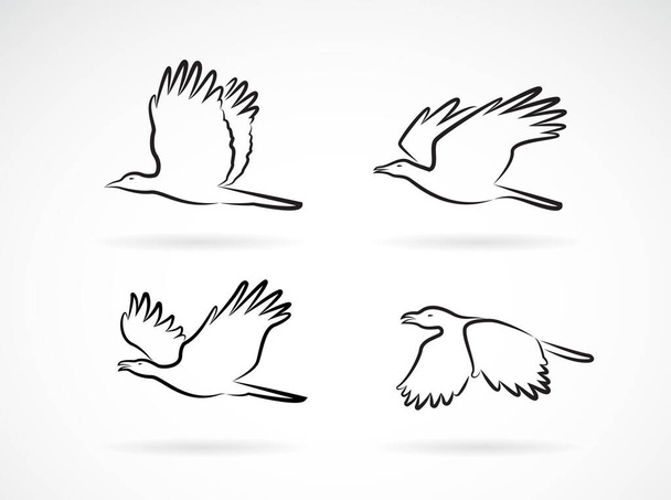 Vektorgruppe von Luftlinie auf weißem Hintergrund. Vögel. Tiere. Einfach editierbare mehrschichtige Vektoren-Illustration. - Vektor, Bild