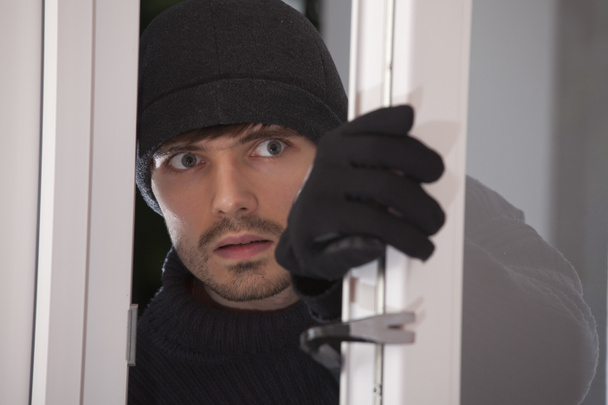 Burglar - Photo, Image