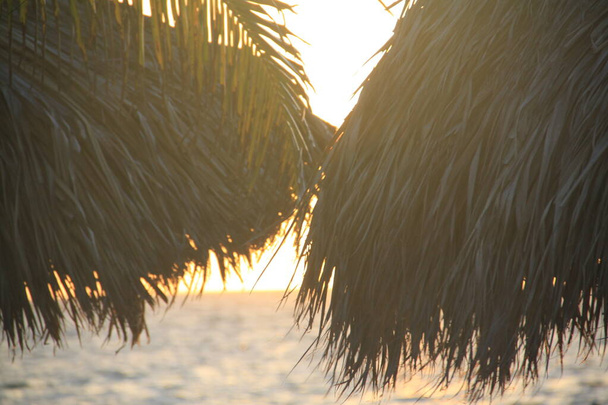 východ slunce na pláži Punta Cana v Karibiku - Fotografie, Obrázek