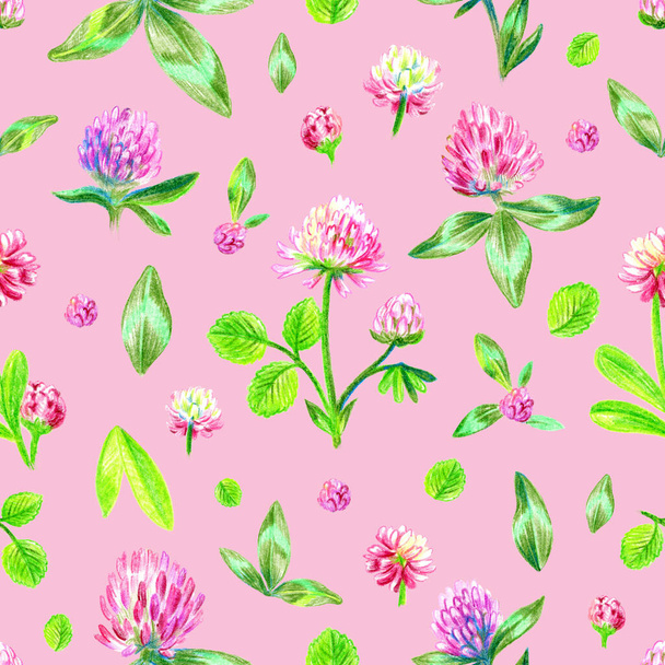 Seamless pattern design with clover meadow flowers. Summer. Hand drawing. Color pencils sketch. - Fotó, kép