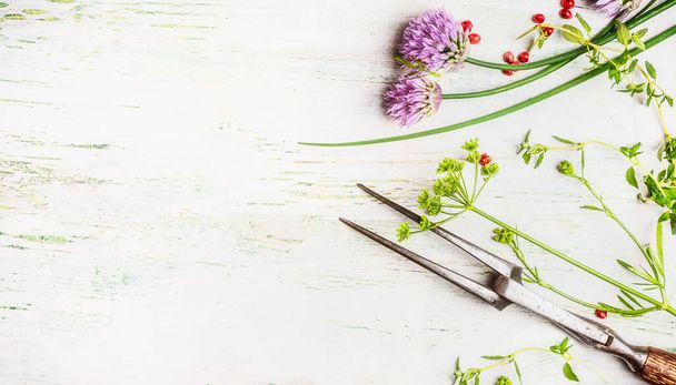 Fresh green seasoning and cooking fork on white rustic wooden background, top view, border - Valokuva, kuva