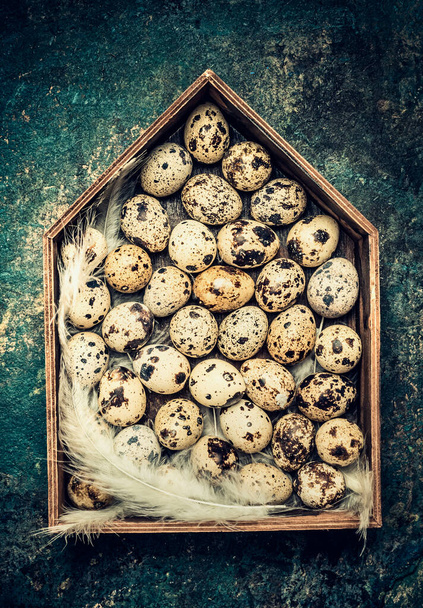 Quail eggs and feathers in wooden house decoration, top view - Фото, изображение