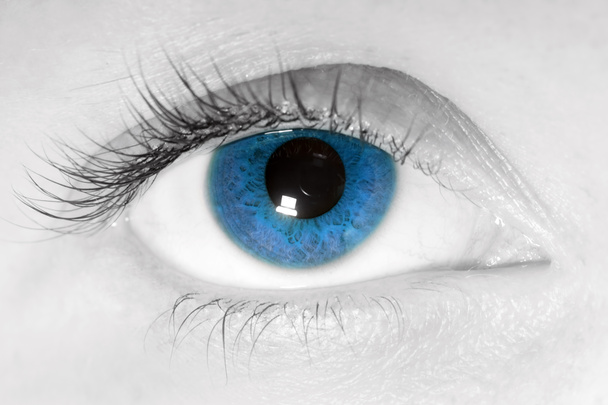 Weibliches blaues Auge Nahaufnahme - Foto, Bild