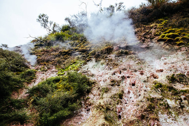 Wairakei Natural Thermal Valley en Nueva Zelanda
 - Foto, imagen