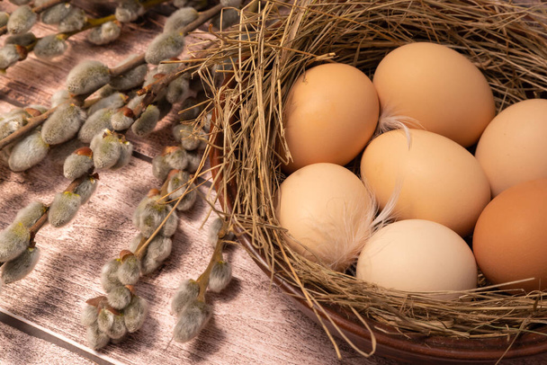 Beige eggs with white feathers in a nest of straw on wooden planks next to a budding willow. - Foto, Imagem