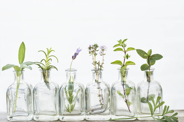 Fles etherische olie met kruiden salie, rozemarijn, lavendel bloem,, oregano, tijm opgezet op witte achtergrond. - Foto, afbeelding