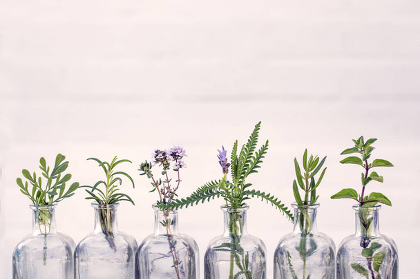 ハーブオレガノとエッセンシャルオイルのボトル,ローズマリー,ラベンダーの花,ルーハーブ,白い背景に設定されたタイム. - 写真・画像