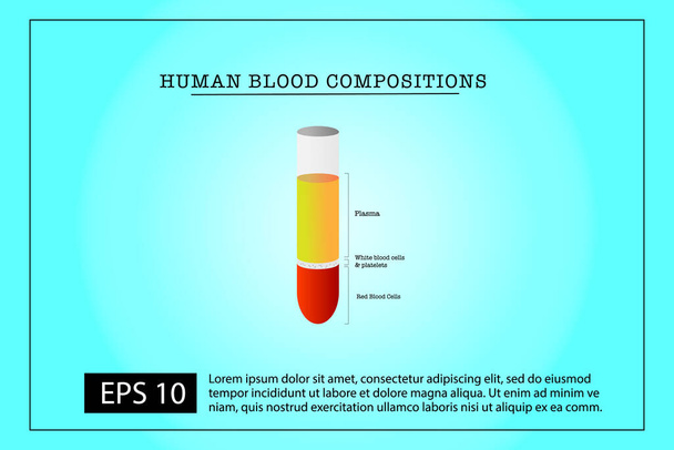 Vektor der menschlichen Blutzusammensetzung: Rote Blutkörperchen, weiße Blutkörperchen, Blutplättchen und Plasma - Vektor, Bild