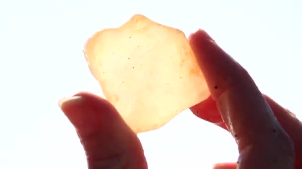 zbliżenie Agate znalezione w Gold Beach Oregon - Materiał filmowy, wideo