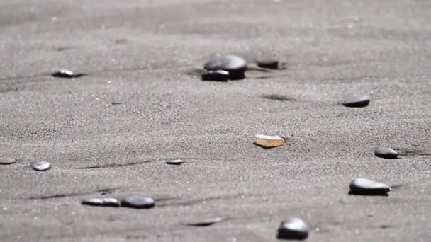 wandelen over het strand op zoek naar schatten en gepolijste rotsen zoals de immer populaire agaat in Gold Beach Oregon - Video