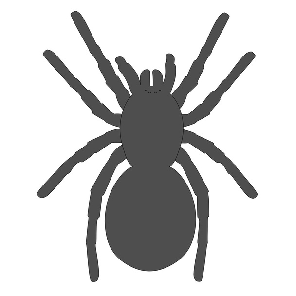 cartoon afbeelding van tarantula spin - Foto, afbeelding