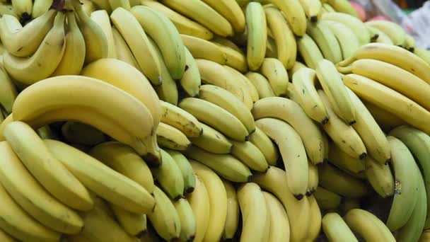 muchos plátanos en el mercado, el comprador en guantes elige la fruta
. - Metraje, vídeo