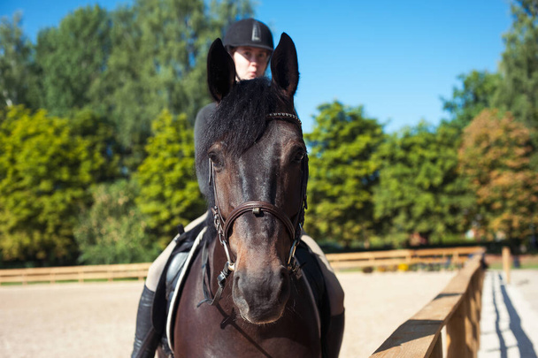 Kaštanový koňský portrét s mladou veselou veselou puberťačkou sedící na koni. Barevný venkovní vodorovný letní obrázek s filtrem - Fotografie, Obrázek